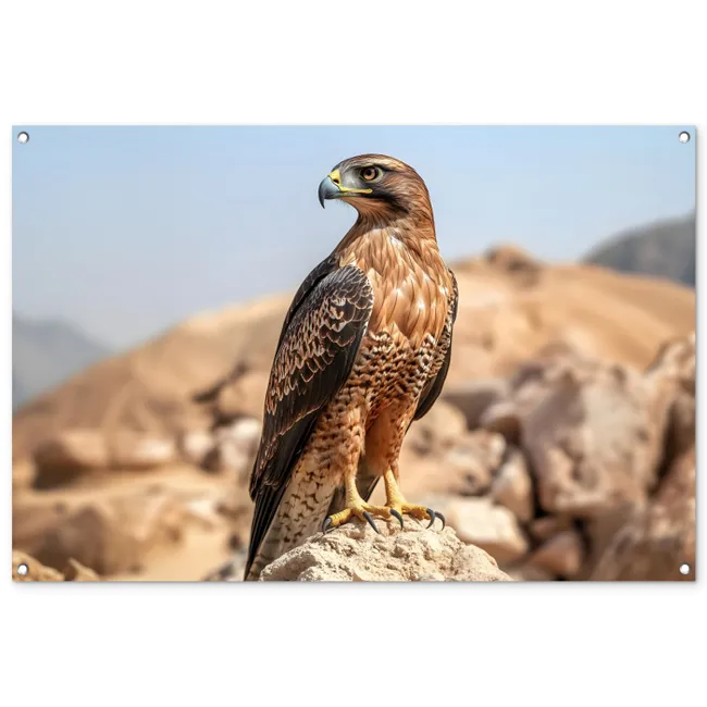 Tuinposter - Valk - Vogel - Rots - Macht