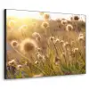 Planten - Natuur - Bloemen - Zon - Horizon Textielframe zwart klein -3d