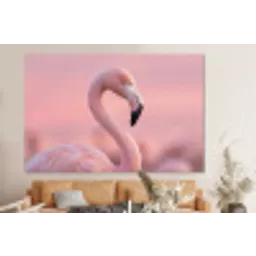 Flamingo - Portret - Roze forex 5mm xxl -bovenbank