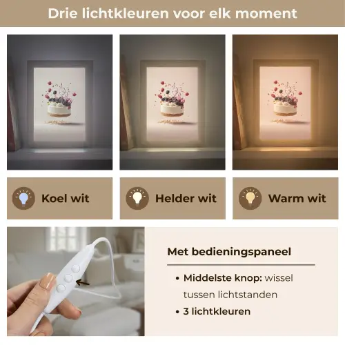 Cheesecake - Eten - Roze - Taart Light Box met kabel (Tafellamp) klein -USP_lichtkleurNL