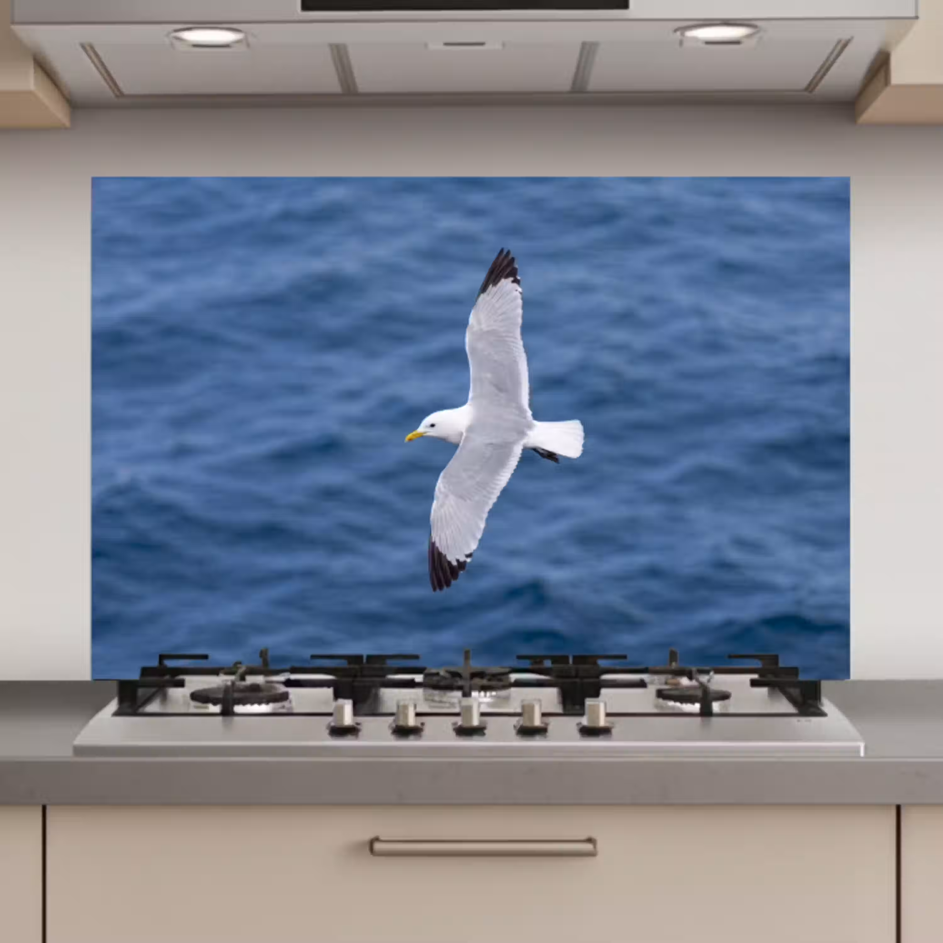 Zeemeeuw - Oceaan - Blauw keuken achterwand spatscherm klein -3d_website
