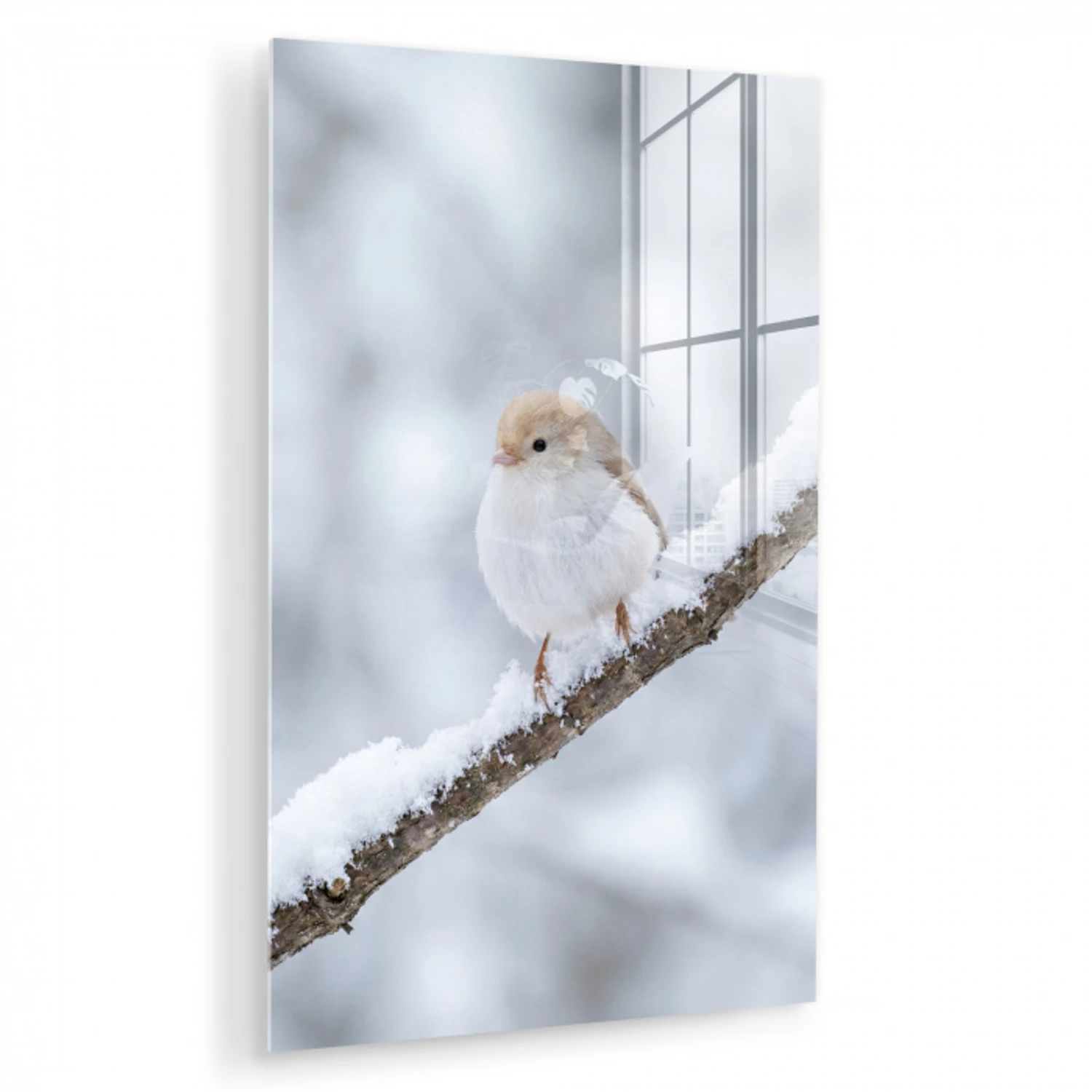 Vogeltje - Sneeuw - Tak - Winter - Zacht plexiglas 5mm klein -zzzproduct_nieuw