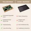 Abstract - Groen - Vormen Dienblad Rechthoek middel -USP_VergelijkingNL
