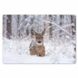 Hert - Sneeuw - Bos - Dieren - Vertederend Placemat vinyl groot -zzsfeer1_Kitchenyeah-website
