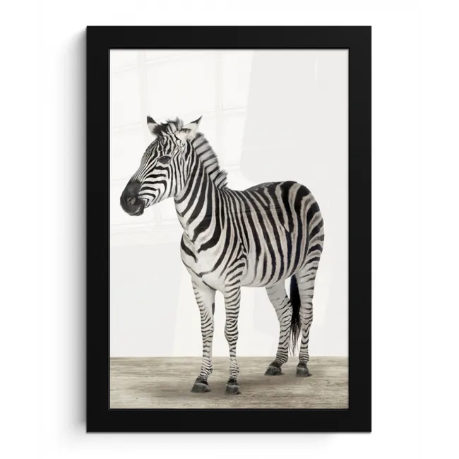 Zebra - Meisjes - Dieren - Kinderen - Jongens fotolijst zwart zonder passe partout klein -3d