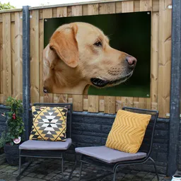 tuinposter-schutting-jeffrey-10.png