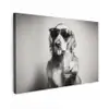 Golden retriever - Hond - Zonnebril - Gkas canvas 2cm klein -z3d