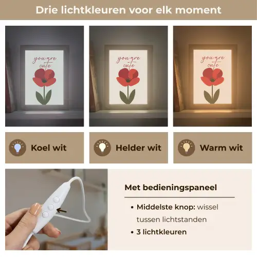 Klaproos - Bloem - Rood - Valentijn Light Box met kabel (Wandlamp) klein -USP_lichtkleurNL