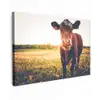 Koe - Zonsondergang - Bloemen - Gras - Dieren canvas 2cm klein -z3d