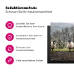 Schapen - Rij - Weide - Dieren - Platteland Inductie beschermer vinyl 3mm klein -zzzzzzz-lf-ups