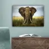 Olifant - Natuur - Gras - Dieren - Landschap canvas 2cm klein -sfeer4