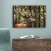 Hert - Natuur - Gewei - Bos - Dieren canvas 2cm klein -sfeer4