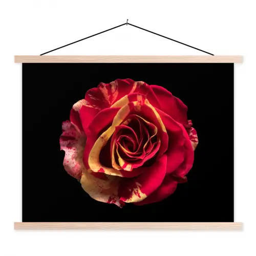 Bloem - Roos - Rood - Zwart textielposter latten blank klein -3d