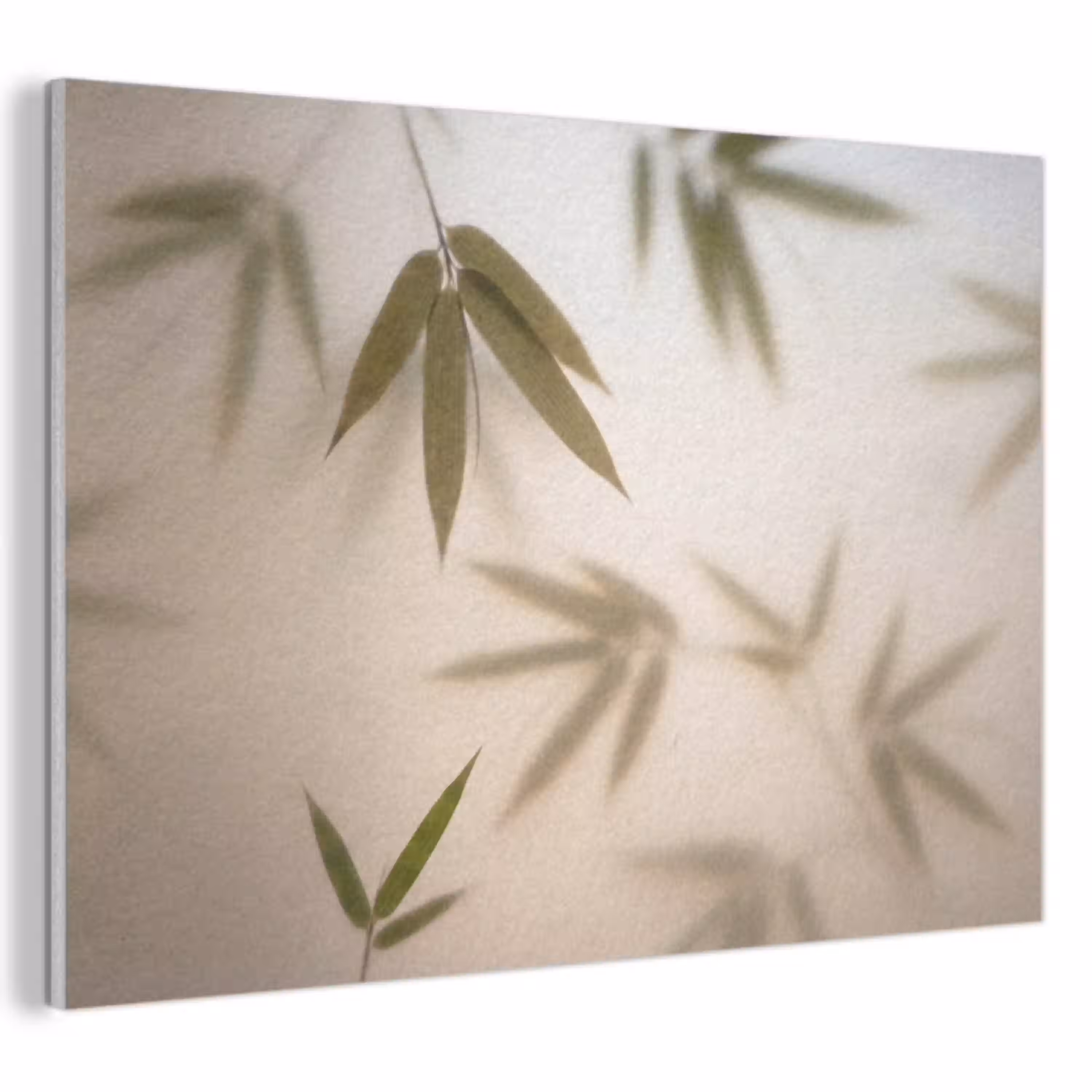 Planten - Bladeren - Natuur - Groen PET vilt klein -3d