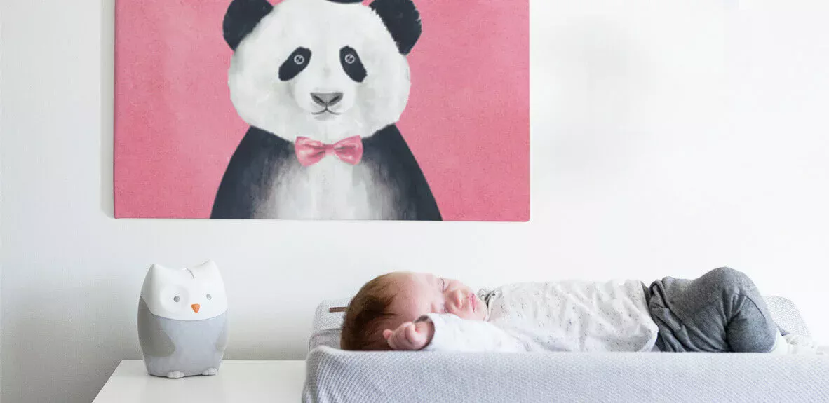 Geboortekaartje op canvas banner