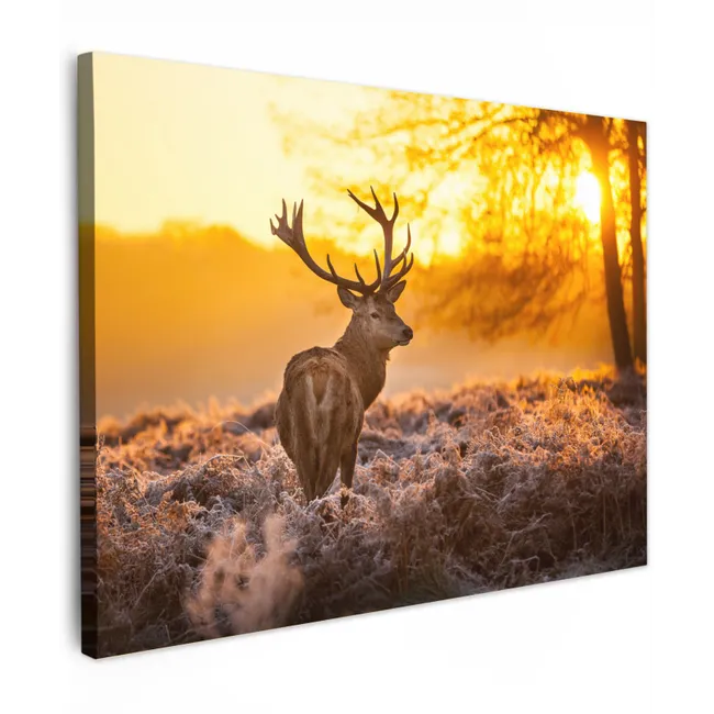 Canvas schilderij - Hert - Dieren - Zonsondergang - Winter - Heide - Natuur