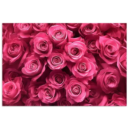 Rozen - Pink - Bloem poster papier klein -3d