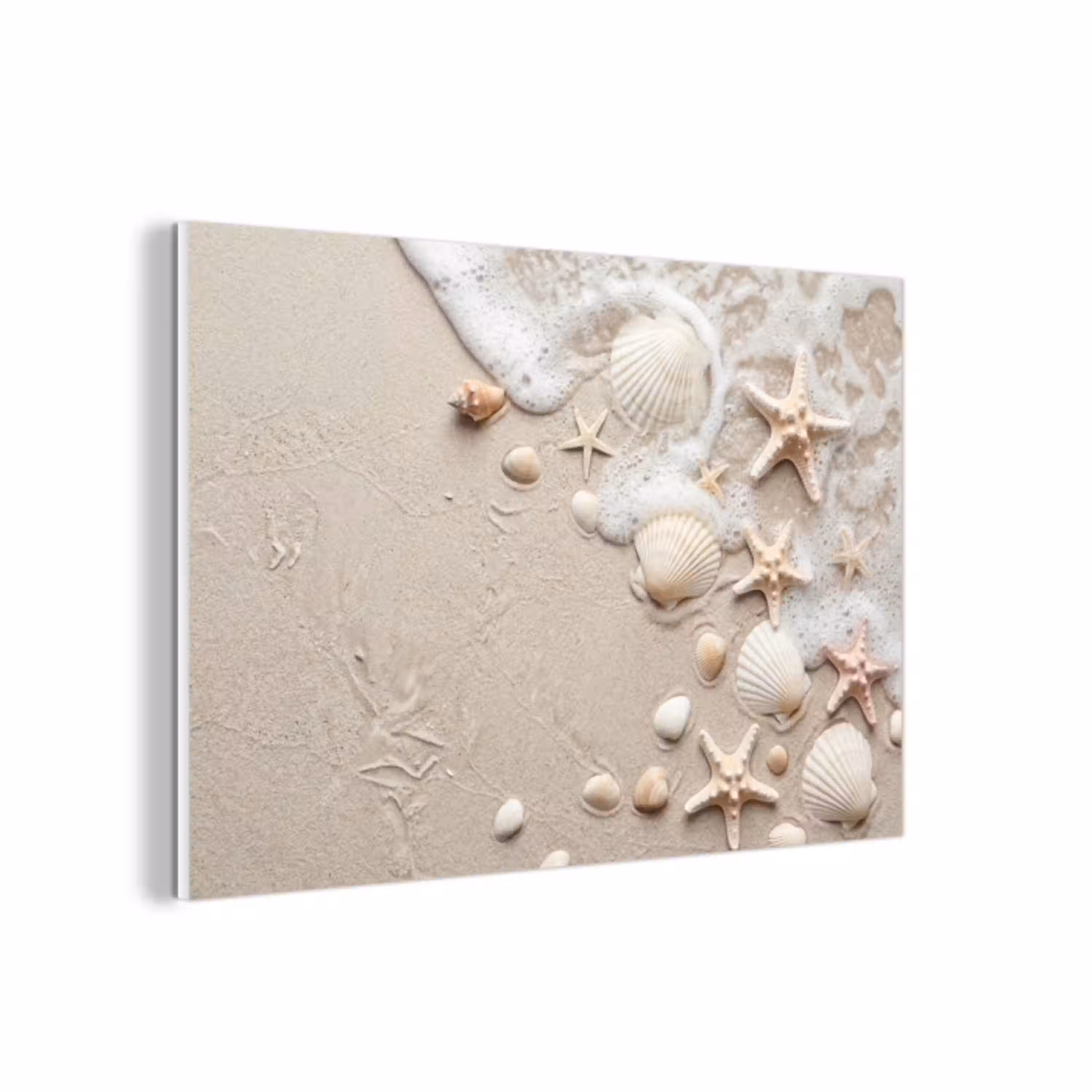 Schelpen - Zeesterren - Strand forex 5mm xxl -3d