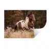 Paard - Bruin - Gras Muursticker klein -3d