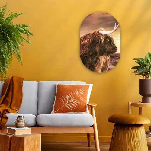 Schotse hooglander - Zon - Horizon - Koe - Dieren Wandcirkel Ovaal Forex klein -sfeer4