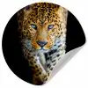 Luipaard - Dieren - Portret - Wilde dieren - Zwart Wandcirkel behangsticker klein -3d