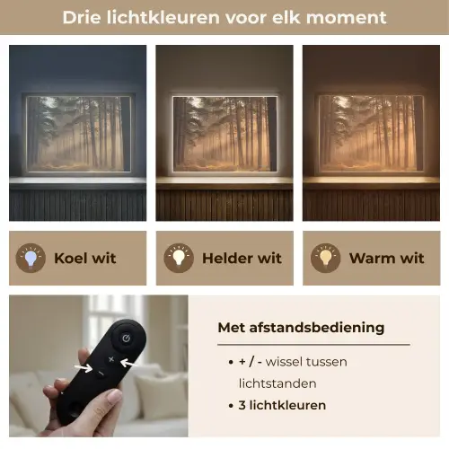 Bos - Mist - Zonlicht Light Box met batterij (Wandlamp) middel -USP_lichtkleurNL