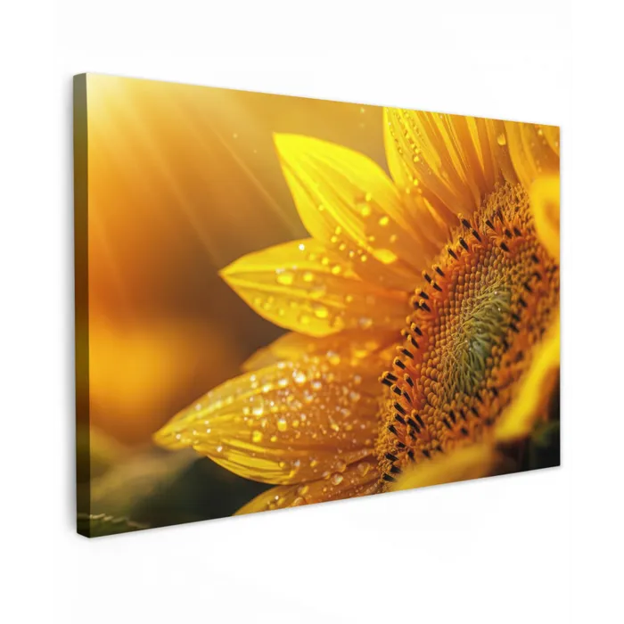 Zonnebloem - Dauwdruppels - Geel - Zonlicht Tuinposter op houten frame 2 cm dik klein -3d