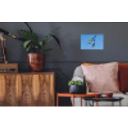 Papagaai - Vliegen - Blauw - Geel Muursticker klein -kamerbank