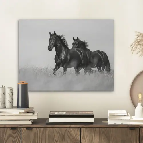 Paarden - Gras - Zwart - Wit PET vilt klein -sfeer1