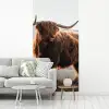 Schotse hooglander - Dieren - Landelijk - Landschap - Koe - Natuur fotobehang vinyl groot -woonkamer