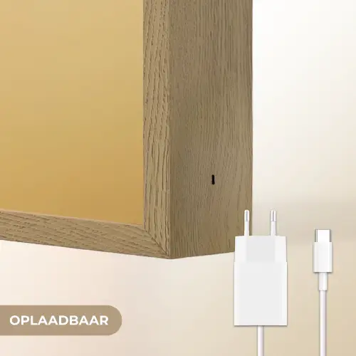 Ijsvogel - Pilaar - Koksmuts - Vogel Light Box met batterij (Wandlamp) middel -USP_websiteoplaadbaarNL