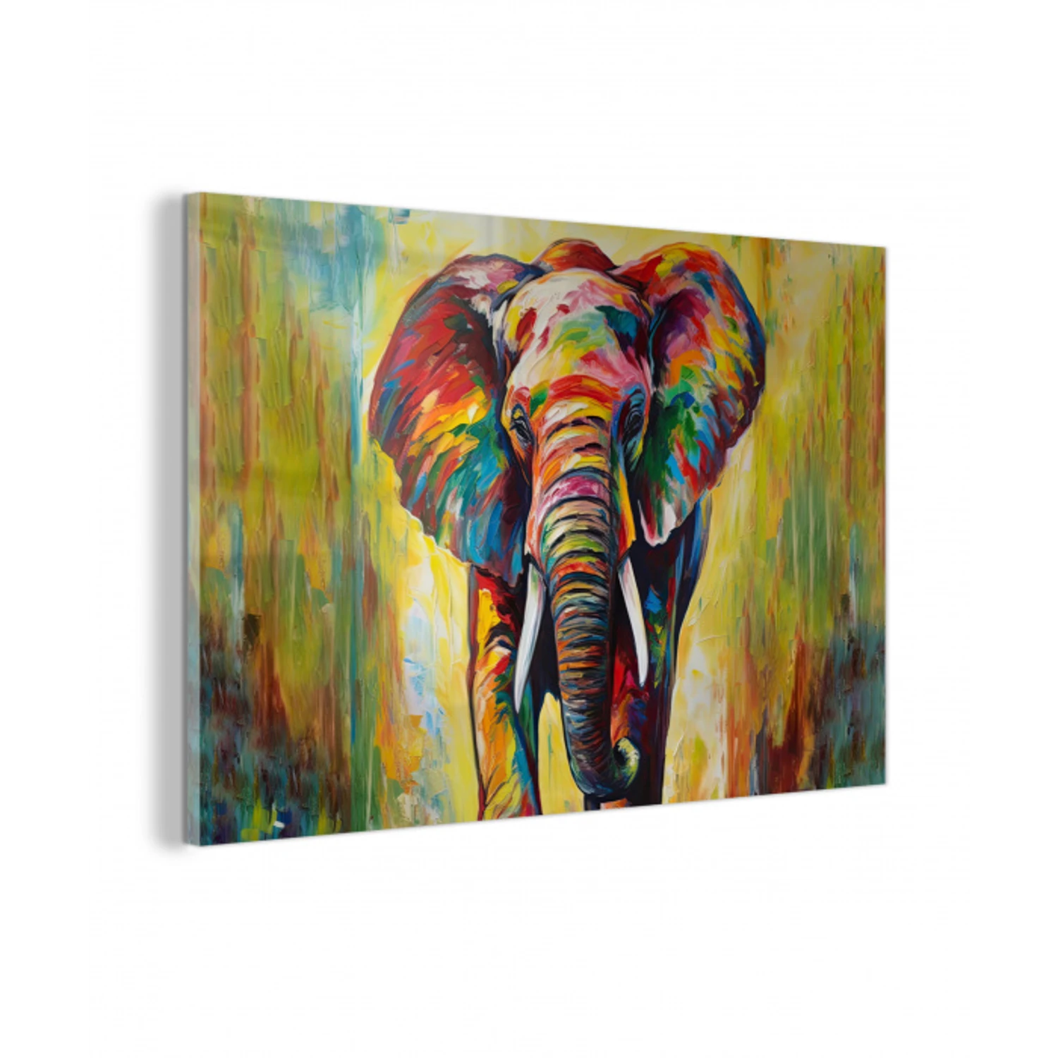 Olifant - Kunst - Schilderij - Dieren - Regenboog plexiglas 5mm klein -z3d