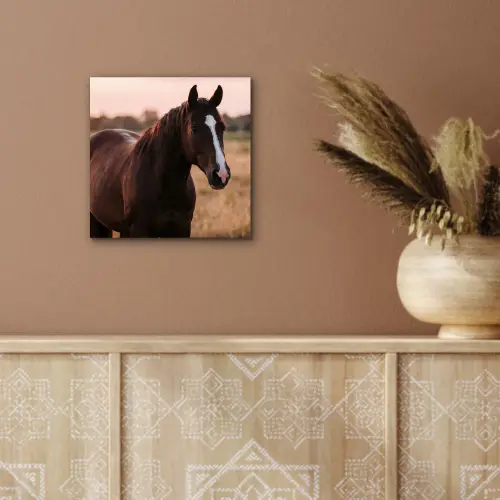 Paard - Zonsondergang - Bruin aluminium wit klein -sfeer4