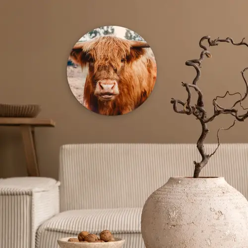 Koe- Schotse hooglander - Hoorns - Bruin - Landschap Wandcirkel kunststof plaat 5mm dik klein -sfeer1