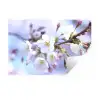 Bloemen - Sakura - Tak - Bloesem takken Muursticker klein -3d