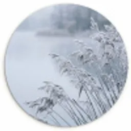 Riet - Bevroren - Winter - Natuur Wandcirkel kunststof plaat 5mm dik klein -3d
