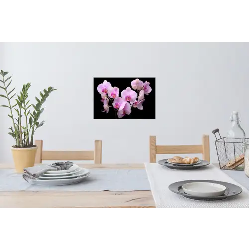 Orchidee - Bloemen - Roze - Flora Muursticker klein -eettafel