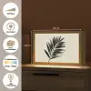 Palmblad - Subtiel - Groen - beige Light Box met kabel (Tafellamp) klein -USP_websiteoverzichtNL