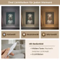 Dier - Kok - Stokstaartje Light Box met kabel (Tafellamp) klein -USP_lichtkleurDE