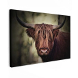 Schotse hooglander - Licht - Portret - Natuur Tuinposter op houten frame 2 cm dik klein -3d
