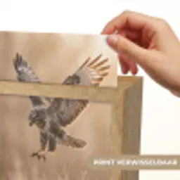 Buizerd - Roofvogel - Natuur - Bruin Light Box met kabel (Kinderlampje) klein -USP_websiteprintNL