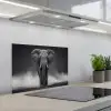 Olifant - Zwart - Wit - Rook keuken achterwand spatscherm klein -3d_schuin