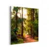 Bos - Pad - Bomen - Groen - Zon - Natuur aluminium wit klein -3d