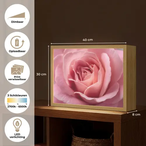 Roze - Roos - Romantisch Light Box met batterij (Wandlamp) middel -USP_websiteoverzichtNL