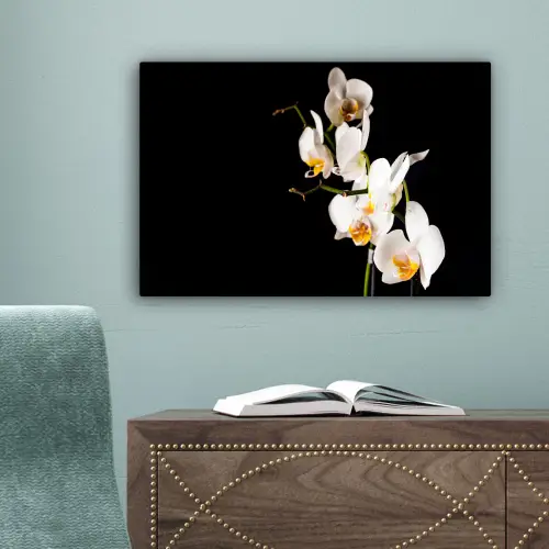 Orchidee - Bloemen - Planten - Botanisch canvas 2cm klein -sfeer4
