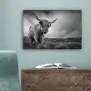Koeien - Schotse hooglander - Natuur - Dieren - Zwart wit canvas 2cm klein -sfeer4