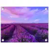 Lavendel - Paars - Bloemen - Natuur tuinposter los doek klein -3d
