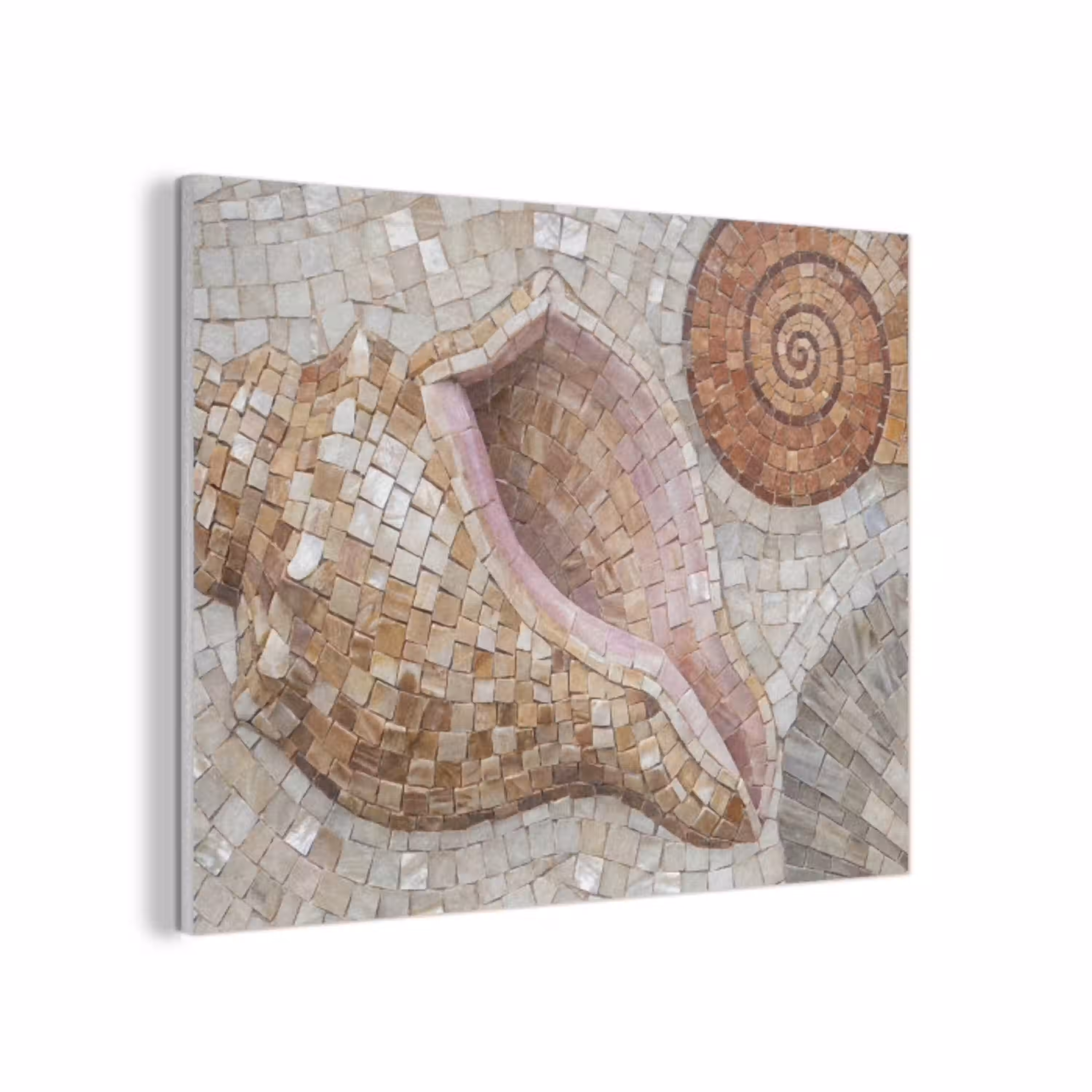 Schelp - Mozaïek - Zee - Beige - Modern PET vilt klein -3d