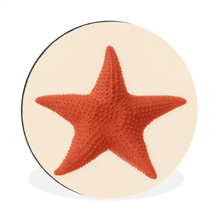 Zeester - Bobbels - Rood Wandcirkel aluminium klein -3d