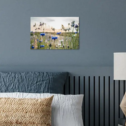Bloemen - Zomer - Korenbloem - Blauw - Zon - Wolken poster papier klein -sfeer2